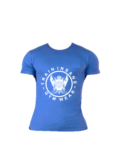 TI FlexFit Blue T-Shirt (Large Logo)